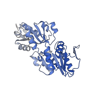 27280_8dbd_H_v1-2
Human PRPS1 with Phosphate; Filament Interface