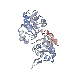 27293_8dbo_A_v1-2
Human PRPS1-E307A engineered mutation with ADP; Hexamer