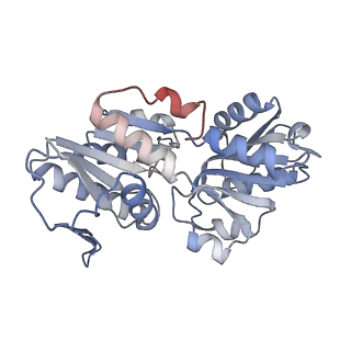 27293_8dbo_D_v1-2
Human PRPS1-E307A engineered mutation with ADP; Hexamer