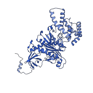 27297_8dbp_C_v1-0
E. coli ATP synthase imaged in 10mM MgATP State1 "half-up