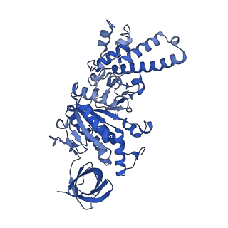 27297_8dbp_D_v1-0
E. coli ATP synthase imaged in 10mM MgATP State1 "half-up