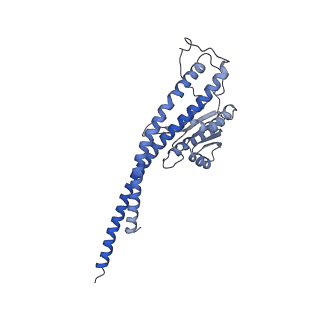 27297_8dbp_G_v1-0
E. coli ATP synthase imaged in 10mM MgATP State1 "half-up