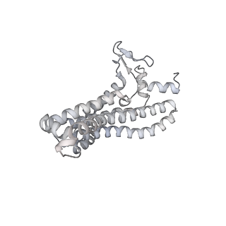 27297_8dbp_a_v1-0
E. coli ATP synthase imaged in 10mM MgATP State1 "half-up