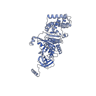 27298_8dbq_A_v1-0
E. coli ATP synthase imaged in 10mM MgATP State1 "half-up" Fo classified