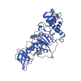 27298_8dbq_E_v1-0
E. coli ATP synthase imaged in 10mM MgATP State1 "half-up" Fo classified
