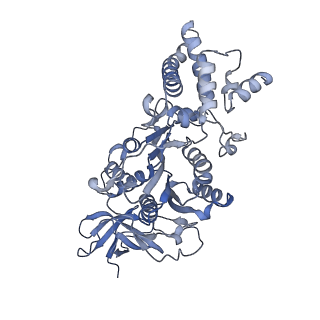 27298_8dbq_F_v1-0
E. coli ATP synthase imaged in 10mM MgATP State1 "half-up" Fo classified