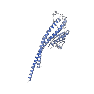 27298_8dbq_G_v1-0
E. coli ATP synthase imaged in 10mM MgATP State1 "half-up" Fo classified