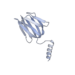 27298_8dbq_H_v1-0
E. coli ATP synthase imaged in 10mM MgATP State1 "half-up" Fo classified