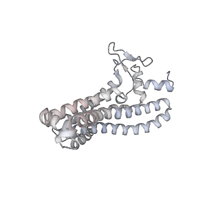 27298_8dbq_a_v1-0
E. coli ATP synthase imaged in 10mM MgATP State1 "half-up" Fo classified