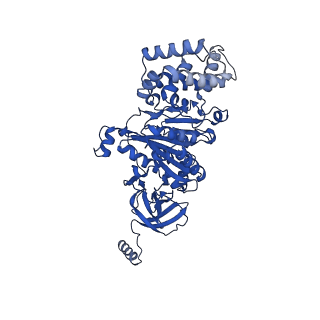 27303_8dbr_A_v1-0
E. coli ATP synthase imaged in 10mM MgATP State2 "half-up