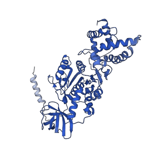 27303_8dbr_B_v1-0
E. coli ATP synthase imaged in 10mM MgATP State2 "half-up