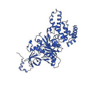 27303_8dbr_C_v1-0
E. coli ATP synthase imaged in 10mM MgATP State2 "half-up