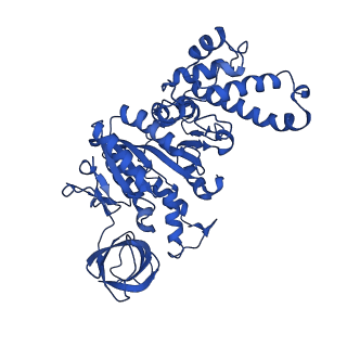 27303_8dbr_D_v1-0
E. coli ATP synthase imaged in 10mM MgATP State2 "half-up
