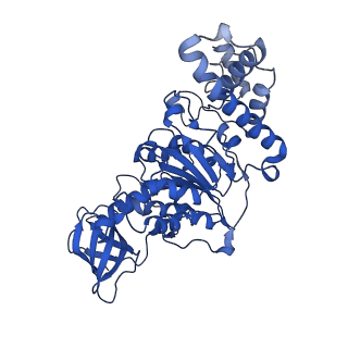 27303_8dbr_E_v1-0
E. coli ATP synthase imaged in 10mM MgATP State2 "half-up