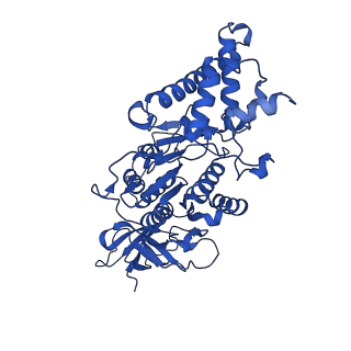 27303_8dbr_F_v1-0
E. coli ATP synthase imaged in 10mM MgATP State2 "half-up
