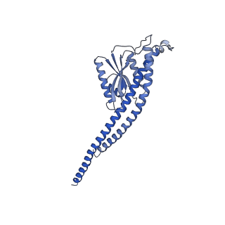 27303_8dbr_G_v1-0
E. coli ATP synthase imaged in 10mM MgATP State2 "half-up