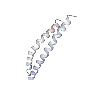 27303_8dbr_P_v1-0
E. coli ATP synthase imaged in 10mM MgATP State2 "half-up