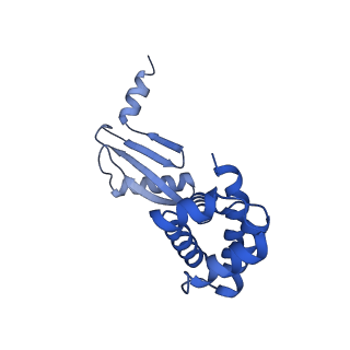 27303_8dbr_W_v1-0
E. coli ATP synthase imaged in 10mM MgATP State2 "half-up