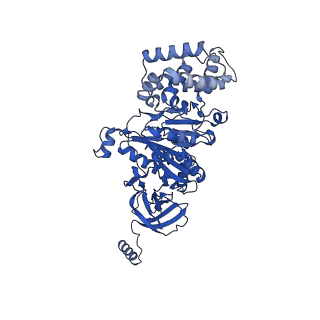 27304_8dbs_A_v1-0
E. coli ATP synthase imaged in 10mM MgATP State2 "half-up" Fo classified