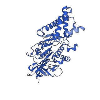 27304_8dbs_F_v1-0
E. coli ATP synthase imaged in 10mM MgATP State2 "half-up" Fo classified