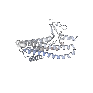 27304_8dbs_a_v1-0
E. coli ATP synthase imaged in 10mM MgATP State2 "half-up" Fo classified