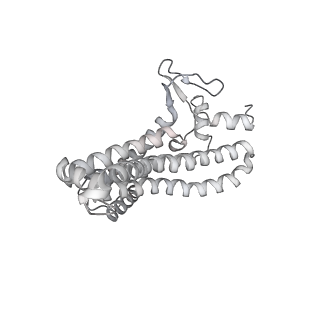 27306_8dbt_a_v1-0
E. coli ATP synthase imaged in 10mM MgATP State2 "down
