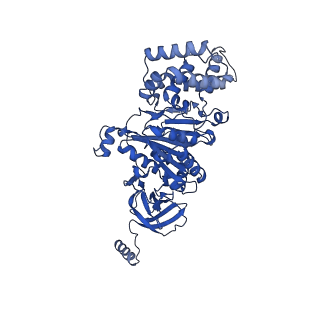 27307_8dbu_A_v1-0
E. coli ATP synthase imaged in 10mM MgATP State2 "down" Fo classified