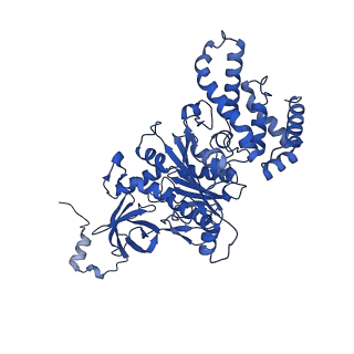 27307_8dbu_C_v1-0
E. coli ATP synthase imaged in 10mM MgATP State2 "down" Fo classified