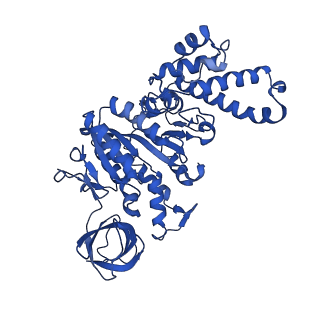 27307_8dbu_D_v1-0
E. coli ATP synthase imaged in 10mM MgATP State2 "down" Fo classified