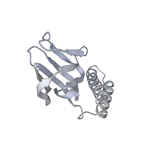 27307_8dbu_H_v1-0
E. coli ATP synthase imaged in 10mM MgATP State2 "down" Fo classified