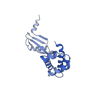 27307_8dbu_W_v1-0
E. coli ATP synthase imaged in 10mM MgATP State2 "down" Fo classified