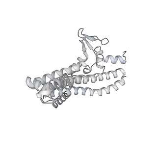 27307_8dbu_a_v1-0
E. coli ATP synthase imaged in 10mM MgATP State2 "down" Fo classified