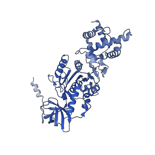 27310_8dbv_B_v1-0
E. coli ATP synthase imaged in 10mM MgATP State3 "down