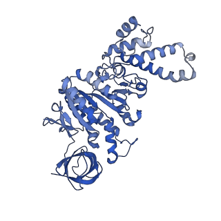27310_8dbv_D_v1-0
E. coli ATP synthase imaged in 10mM MgATP State3 "down