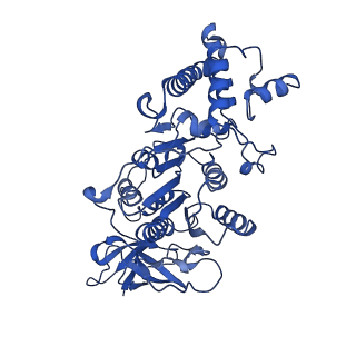 27310_8dbv_F_v1-0
E. coli ATP synthase imaged in 10mM MgATP State3 "down