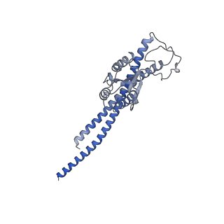 27310_8dbv_G_v1-0
E. coli ATP synthase imaged in 10mM MgATP State3 "down