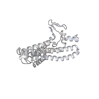 27310_8dbv_a_v1-0
E. coli ATP synthase imaged in 10mM MgATP State3 "down