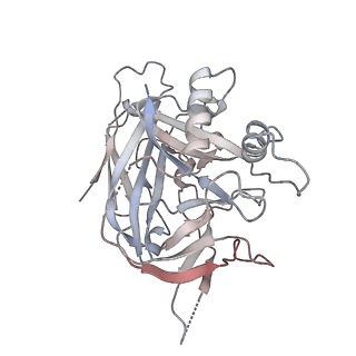 27318_8dbz_A_v1-0
CryoEM structure of Hantavirus ANDV Gn(H) protein complex with 2Fabs ANDV-5 and ANDV-34