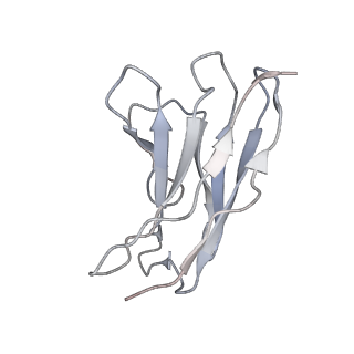 27318_8dbz_C_v1-0
CryoEM structure of Hantavirus ANDV Gn(H) protein complex with 2Fabs ANDV-5 and ANDV-34