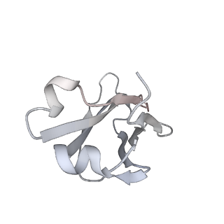 27318_8dbz_G_v1-0
CryoEM structure of Hantavirus ANDV Gn(H) protein complex with 2Fabs ANDV-5 and ANDV-34