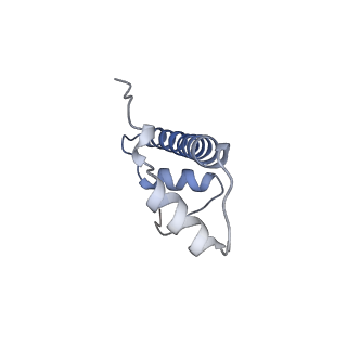 30161_7dbp_B_v1-2
Linker histone defines structure and self-association behaviour of the 177 bp human chromosome