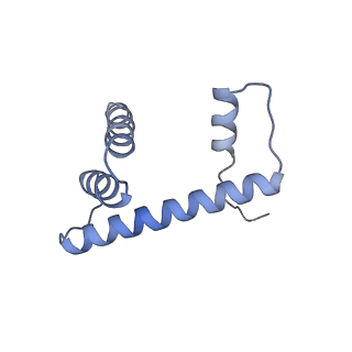 30161_7dbp_D_v1-2
Linker histone defines structure and self-association behaviour of the 177 bp human chromosome