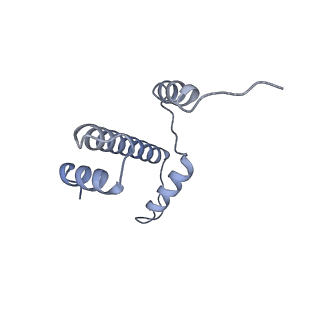 30161_7dbp_E_v1-2
Linker histone defines structure and self-association behaviour of the 177 bp human chromosome