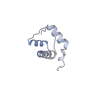 30161_7dbp_F_v1-2
Linker histone defines structure and self-association behaviour of the 177 bp human chromosome