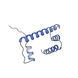 30161_7dbp_H_v1-2
Linker histone defines structure and self-association behaviour of the 177 bp human chromosome