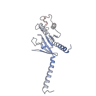 30627_7db6_A_v1-1
human melatonin receptor MT1 - Gi1 complex