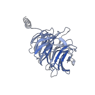 30627_7db6_B_v1-1
human melatonin receptor MT1 - Gi1 complex