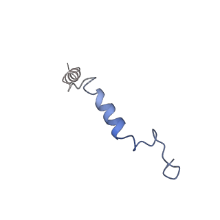 30627_7db6_C_v1-1
human melatonin receptor MT1 - Gi1 complex