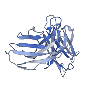 30627_7db6_E_v1-1
human melatonin receptor MT1 - Gi1 complex