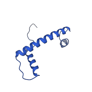 30631_7dbh_A_v1-1
The mouse nucleosome structure containing H3mm18